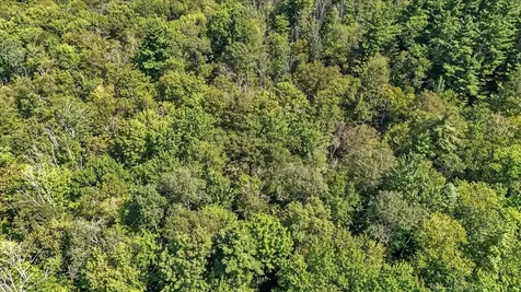 00 Hall Ranch Road Grafton VT 05146