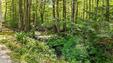 00 Hall Ranch Road Grafton VT 05146