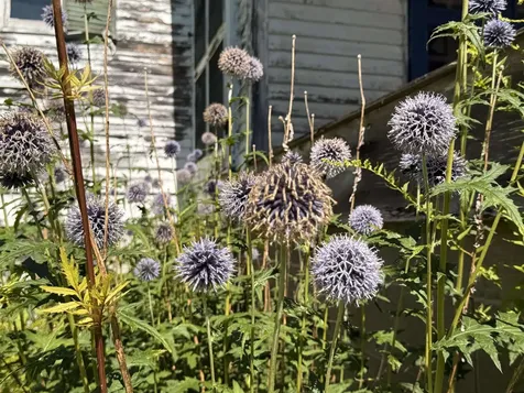 1860 Presidential Highway Jefferson NH 03583