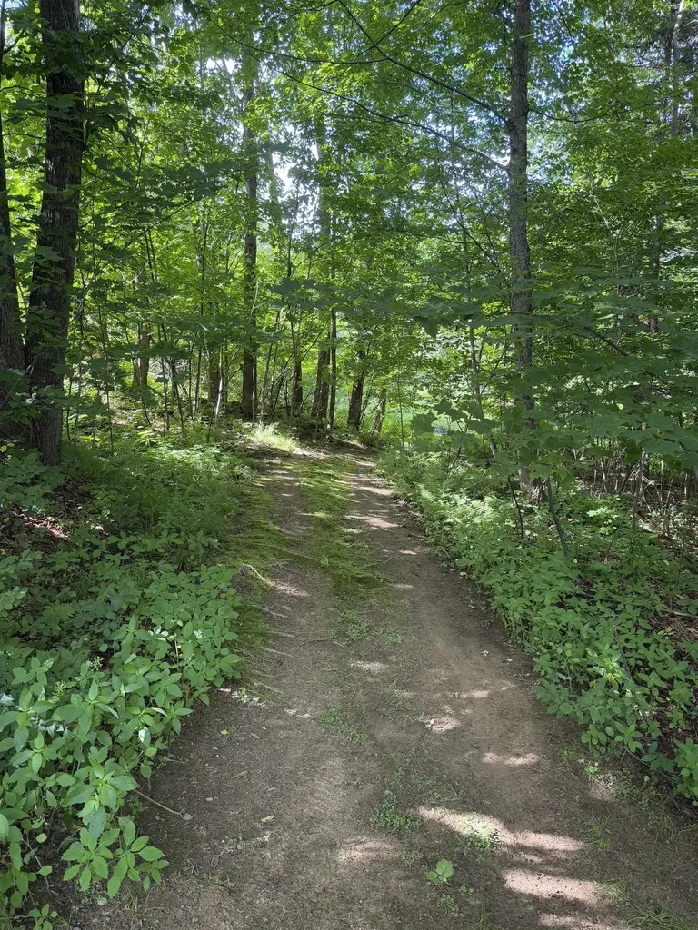 576 Agassiz Street Bethlehem NH 03574