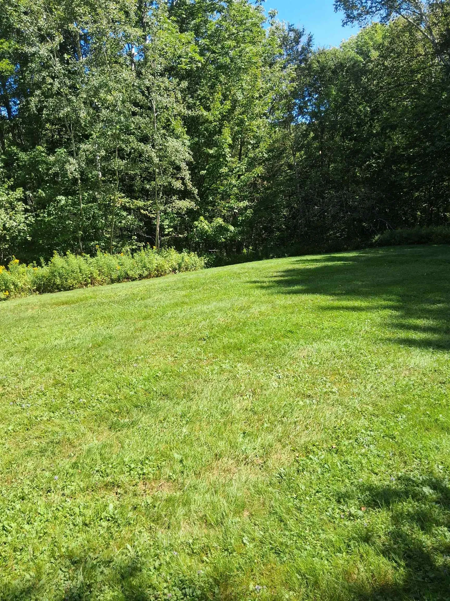 576 Agassiz Street Bethlehem NH 03574