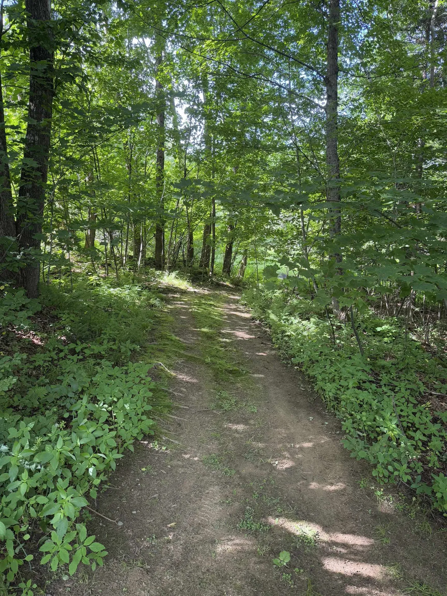 576 Agassiz Street Bethlehem NH 03574