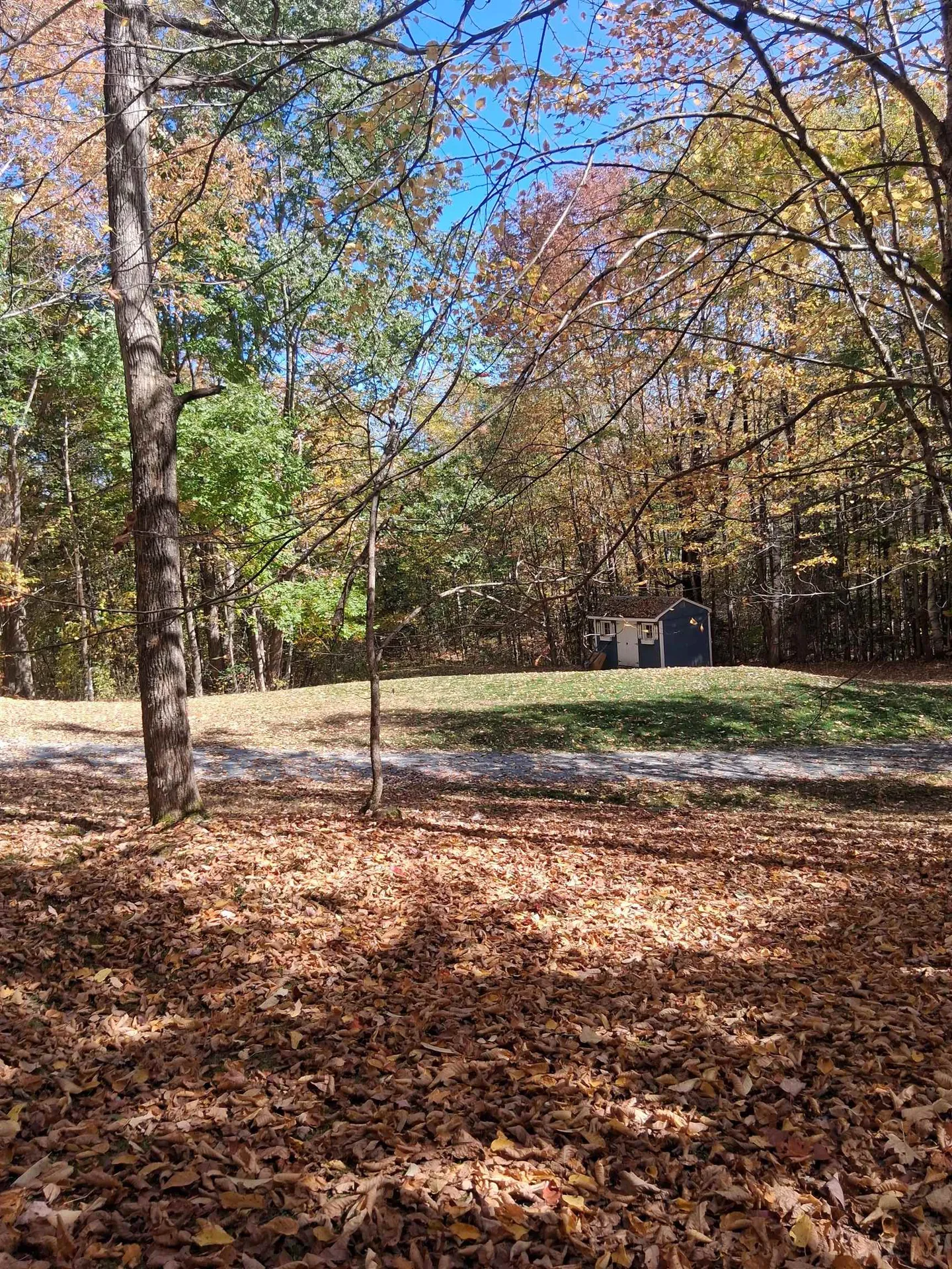 576 Agassiz Street Bethlehem NH 03574