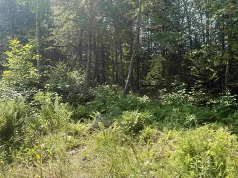 19 Shady Lane Northfield NH 03276
