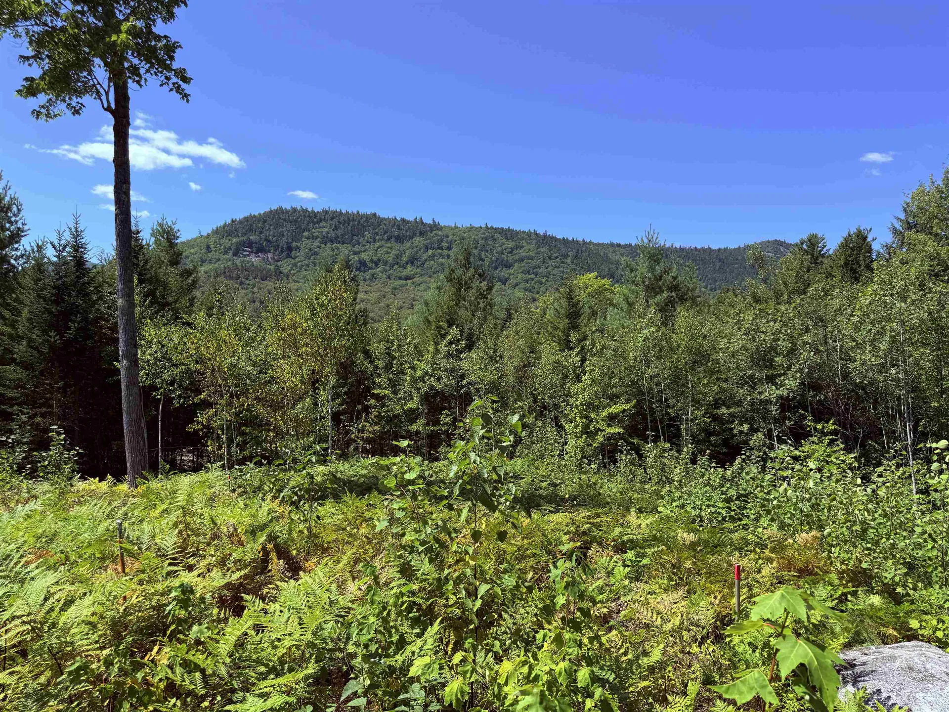 F2 Cave Mountain Road Bartlett NH 03812