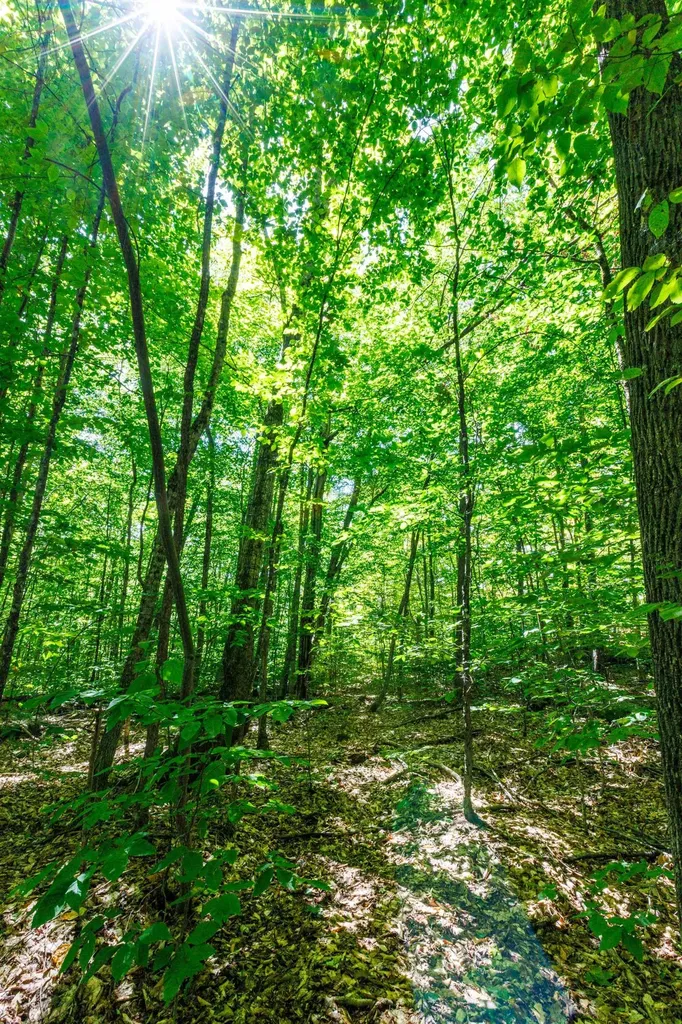 14 Summit Drive Franconia NH 03580