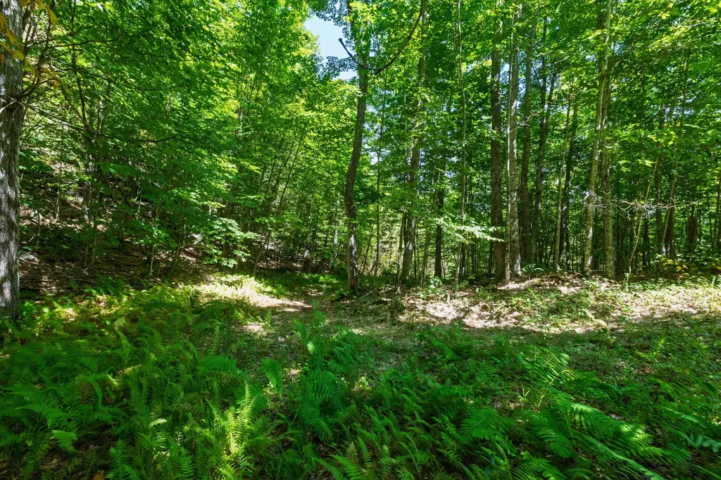 14 Summit Drive Franconia NH 03580