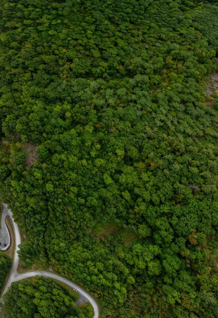 14 Summit Drive Franconia NH 03580