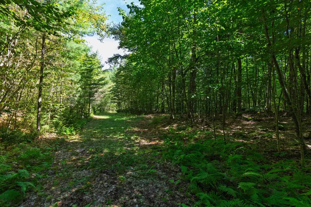 14 Summit Drive Franconia NH 03580