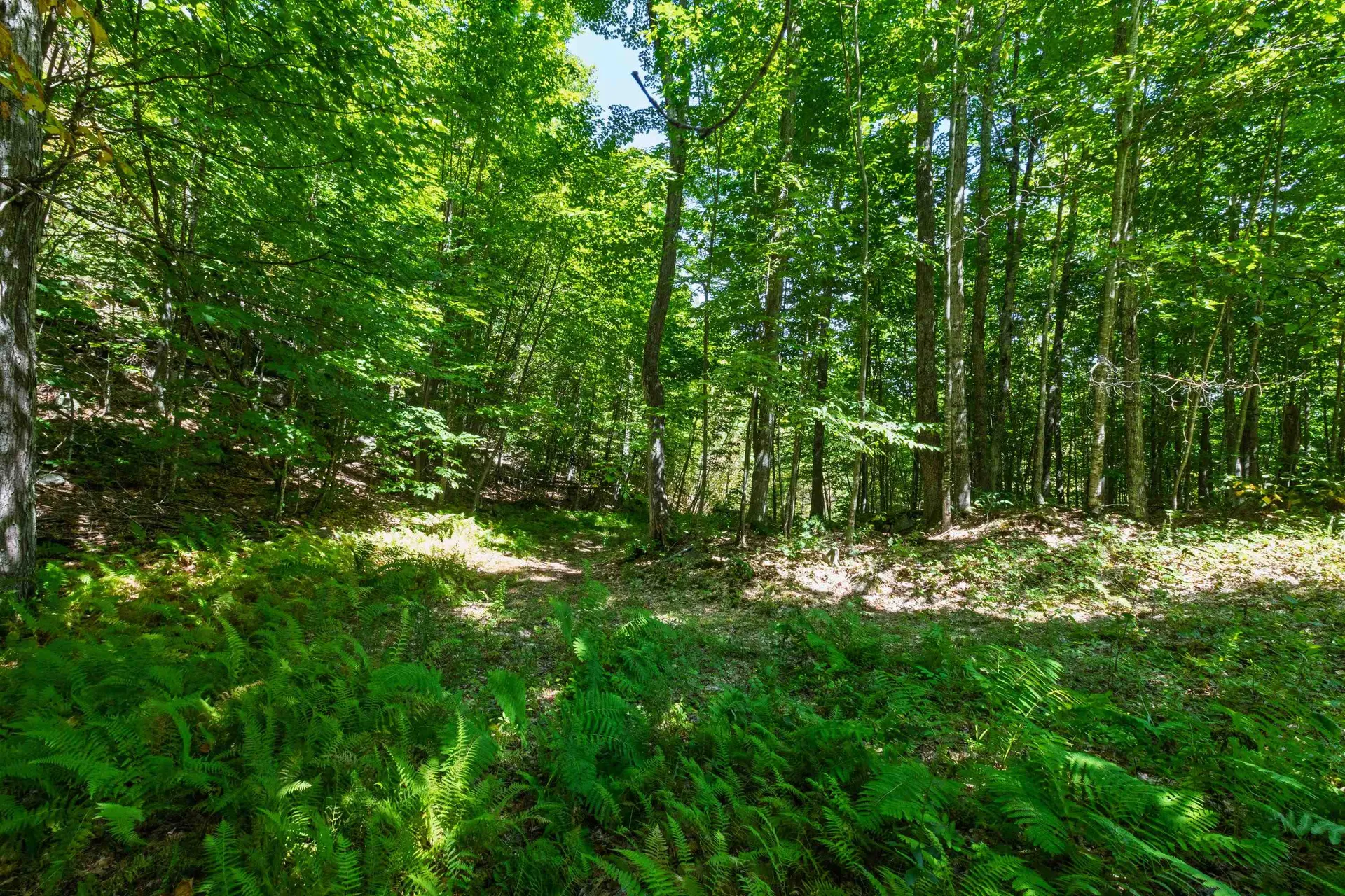 14 Summit Drive Franconia NH 03580