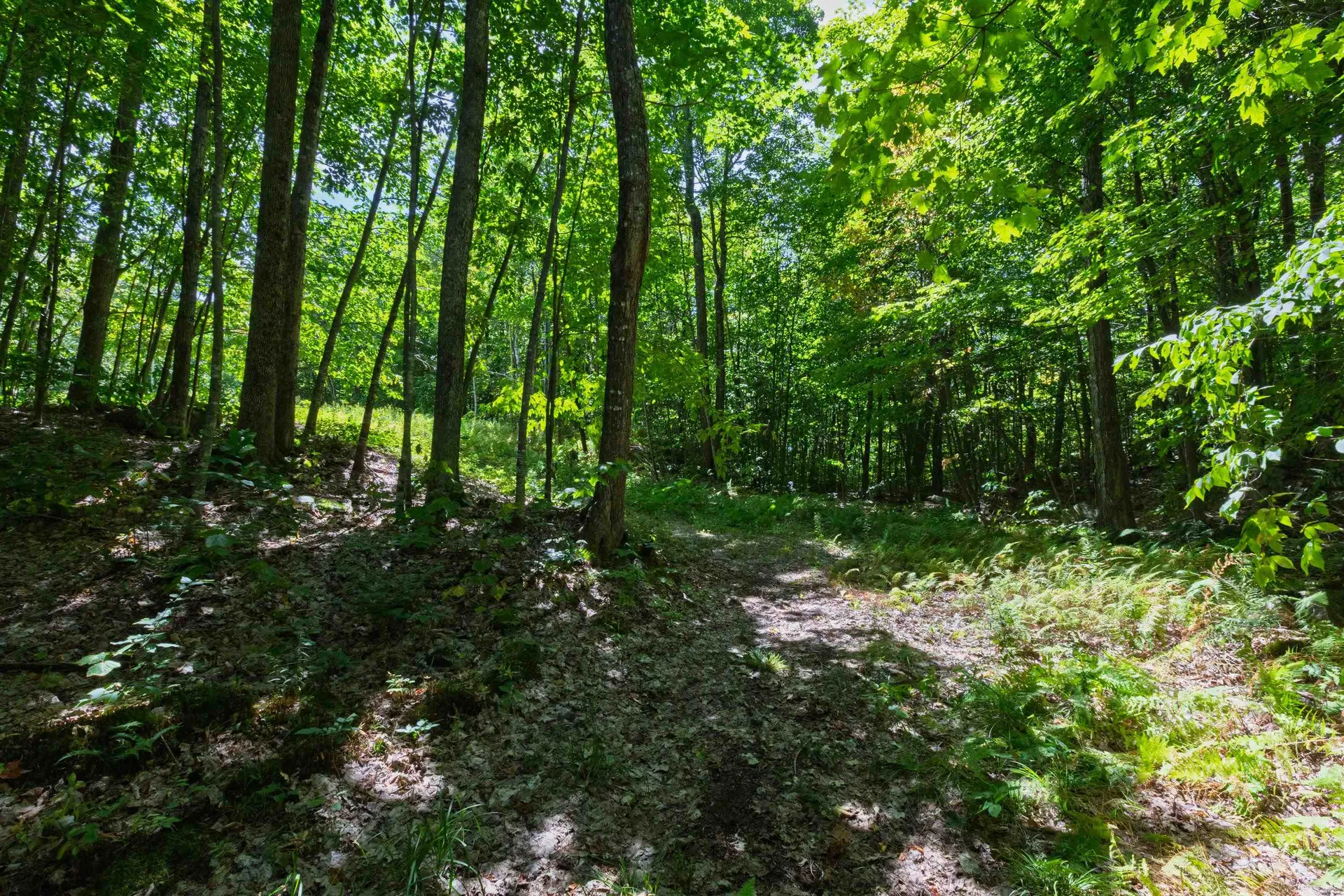 14 Summit Drive Franconia NH 03580