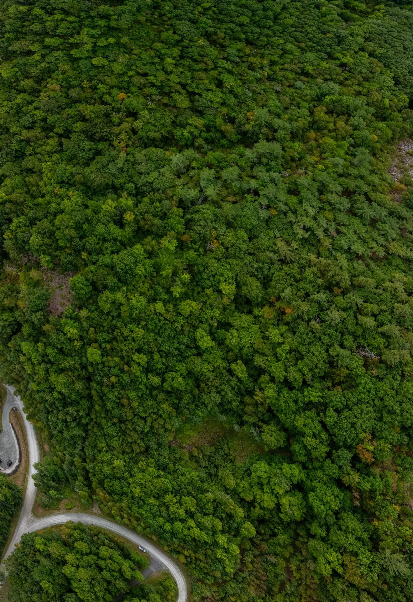 14 Summit Drive Franconia NH 03580