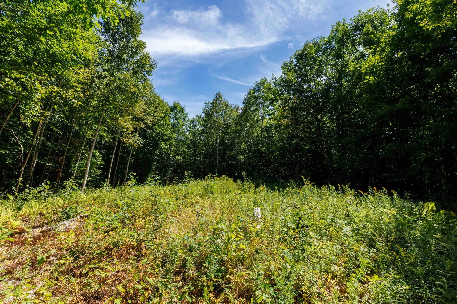 14 Summit Drive Franconia NH 03580