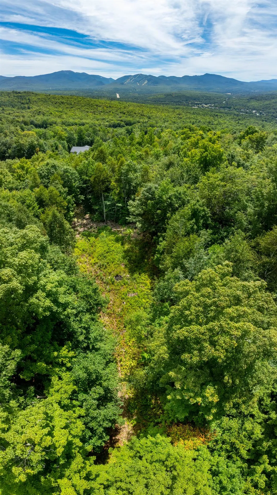 14 Summit Drive Franconia NH 03580