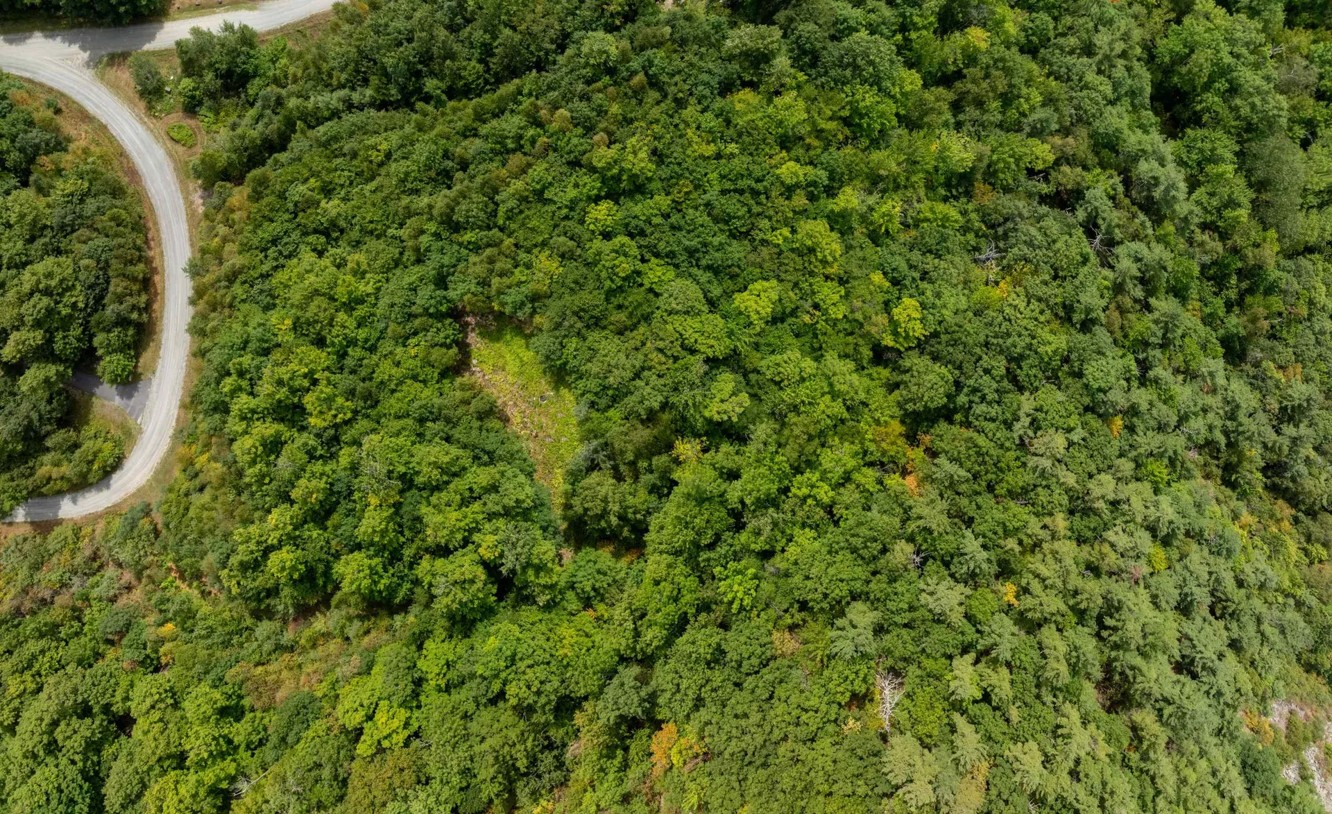 14 Summit Drive Franconia NH 03580