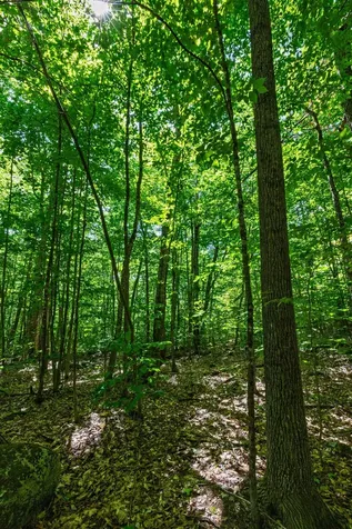 14 Summit Drive Franconia NH 03580