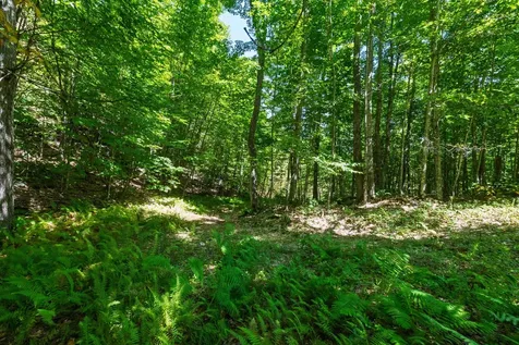 14 Summit Drive Franconia NH 03580