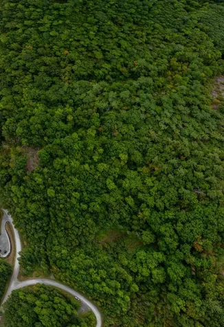 14 Summit Drive Franconia NH 03580