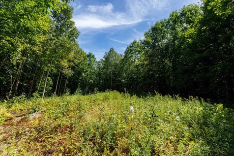 14 Summit Drive Franconia NH 03580