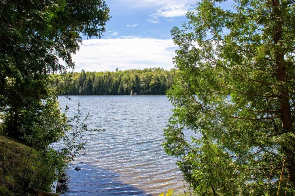 66 Camp Road Peacham VT 05862