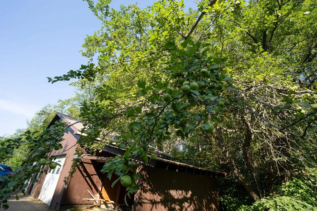 464 Quarry Road Sheffield VT 05866