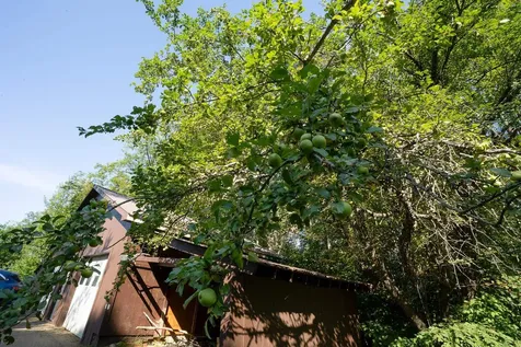 464 Quarry Road Sheffield VT 05866