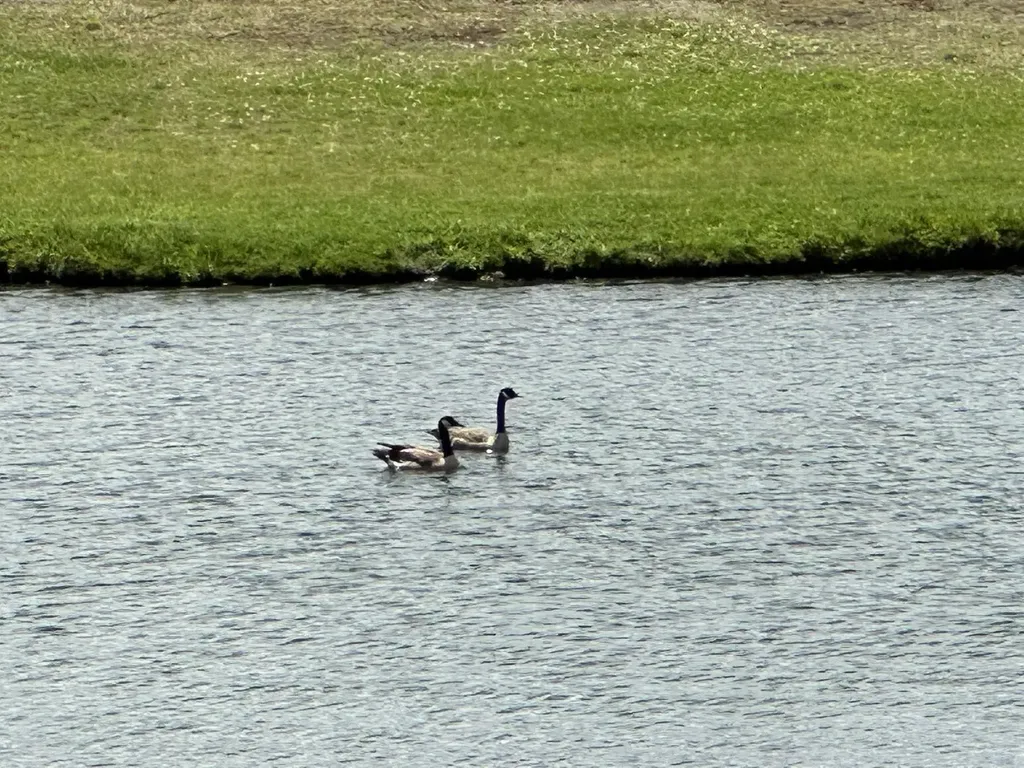 550 Petes Pond Road Hardwick VT 05836