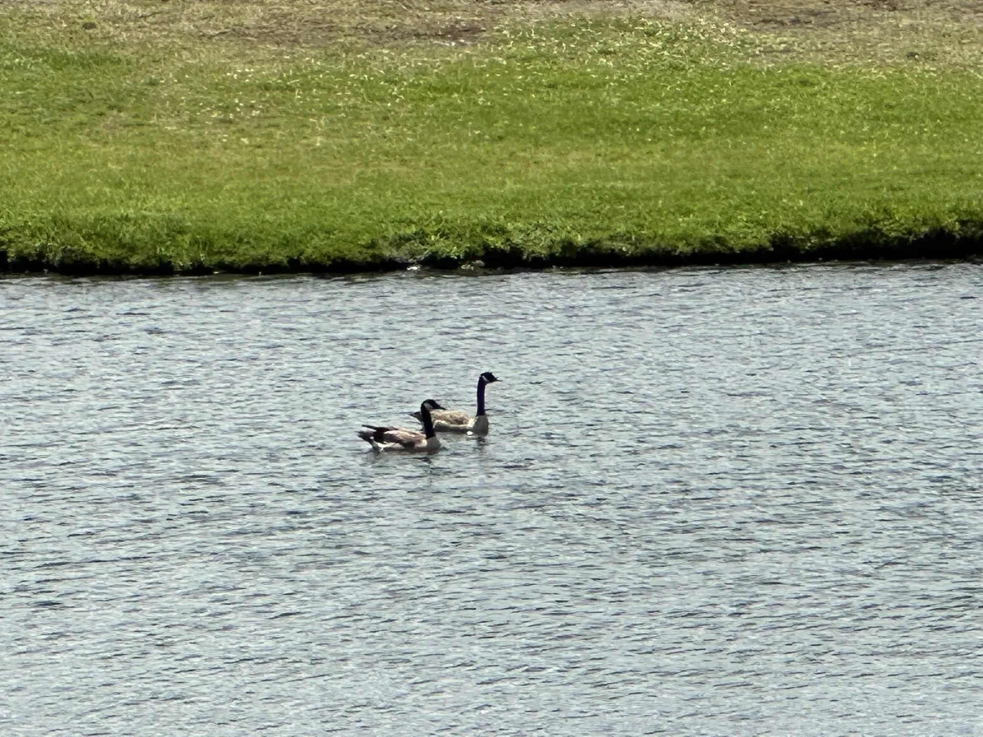 550 Petes Pond Road Hardwick VT 05836