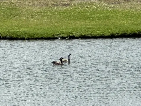 550 Petes Pond Road Hardwick VT 05836