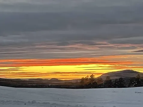 550 Petes Pond Road Hardwick VT 05836