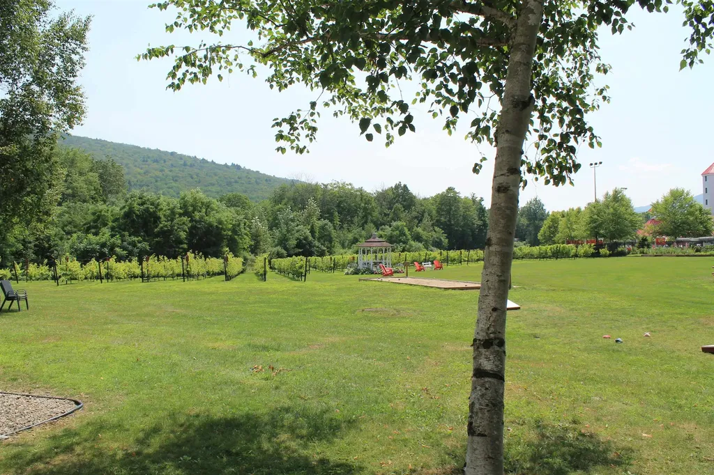 48 Cooper Memorial Drive Lincoln NH 03251