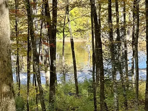 5451 River Road Arlington VT 05250