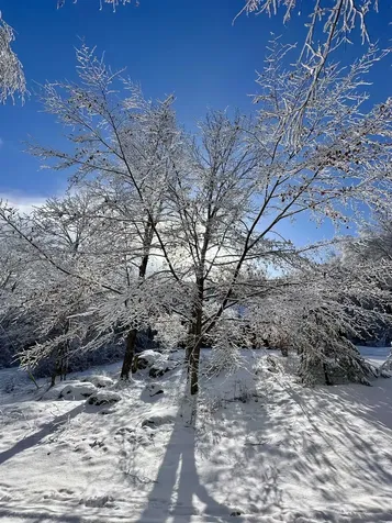 5451 River Road Arlington VT 05250