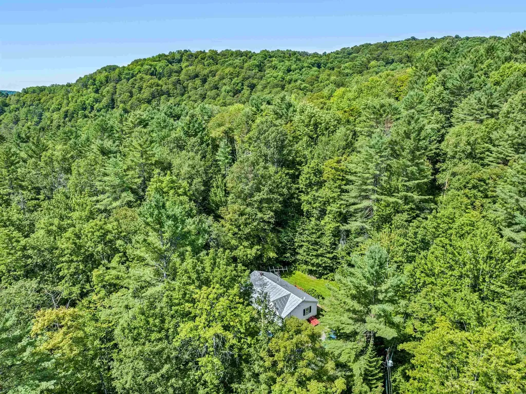 25 Bear Hoot Hollow Washington VT 05675
