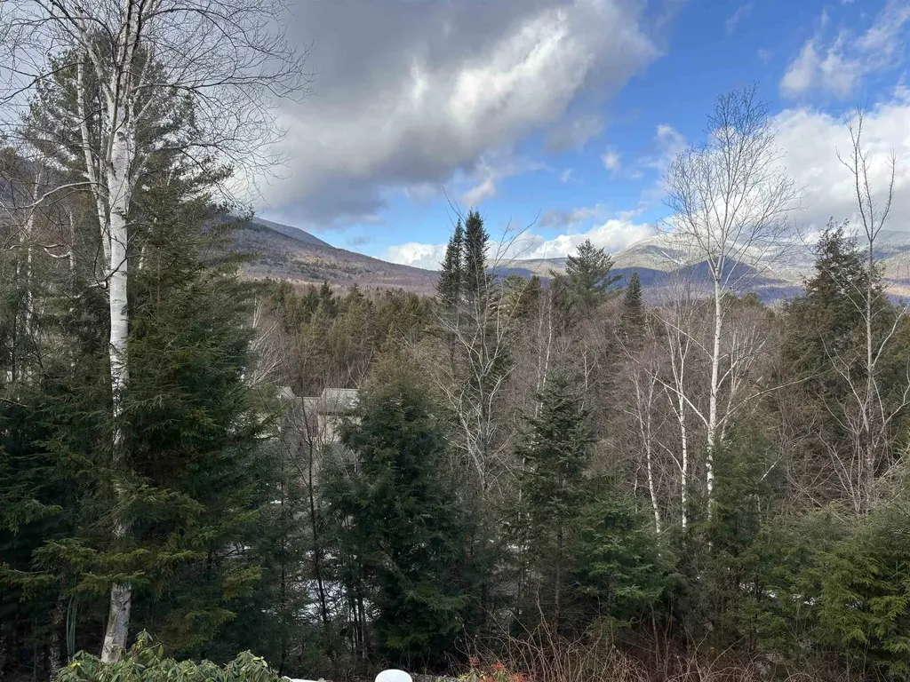 20 Pine Tree Way Waterville Valley NH 03215