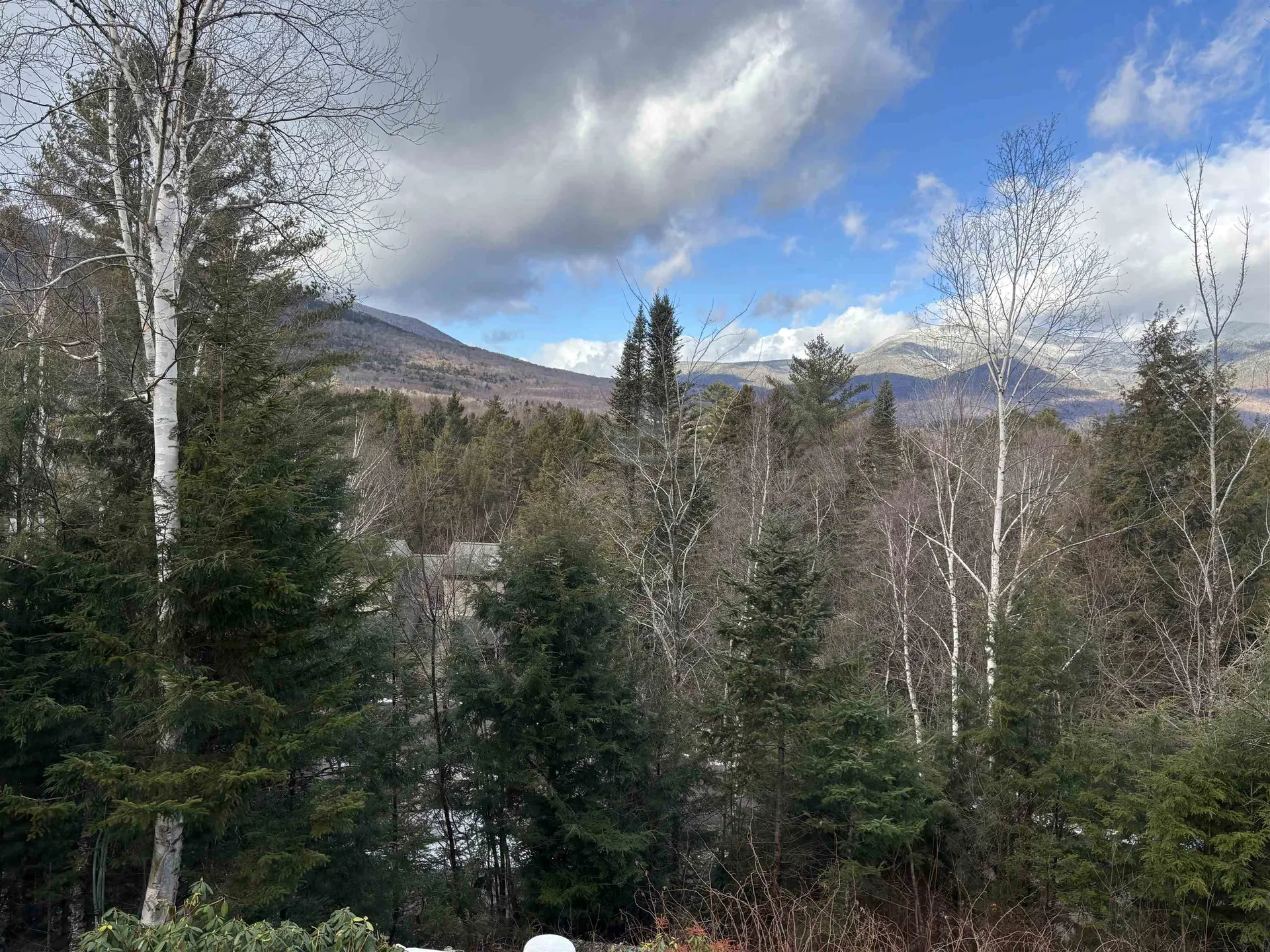 20 Pine Tree Way Waterville Valley NH 03215