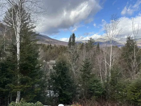 20 Pine Tree Way Waterville Valley NH 03215