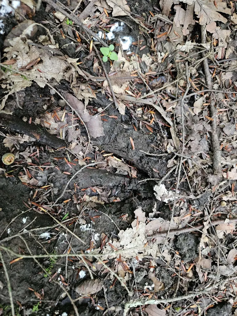 0 Highbridge Road Georgia VT 05454