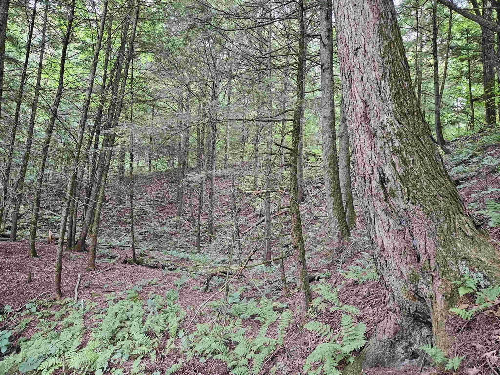 0 Highbridge Road Georgia VT 05454