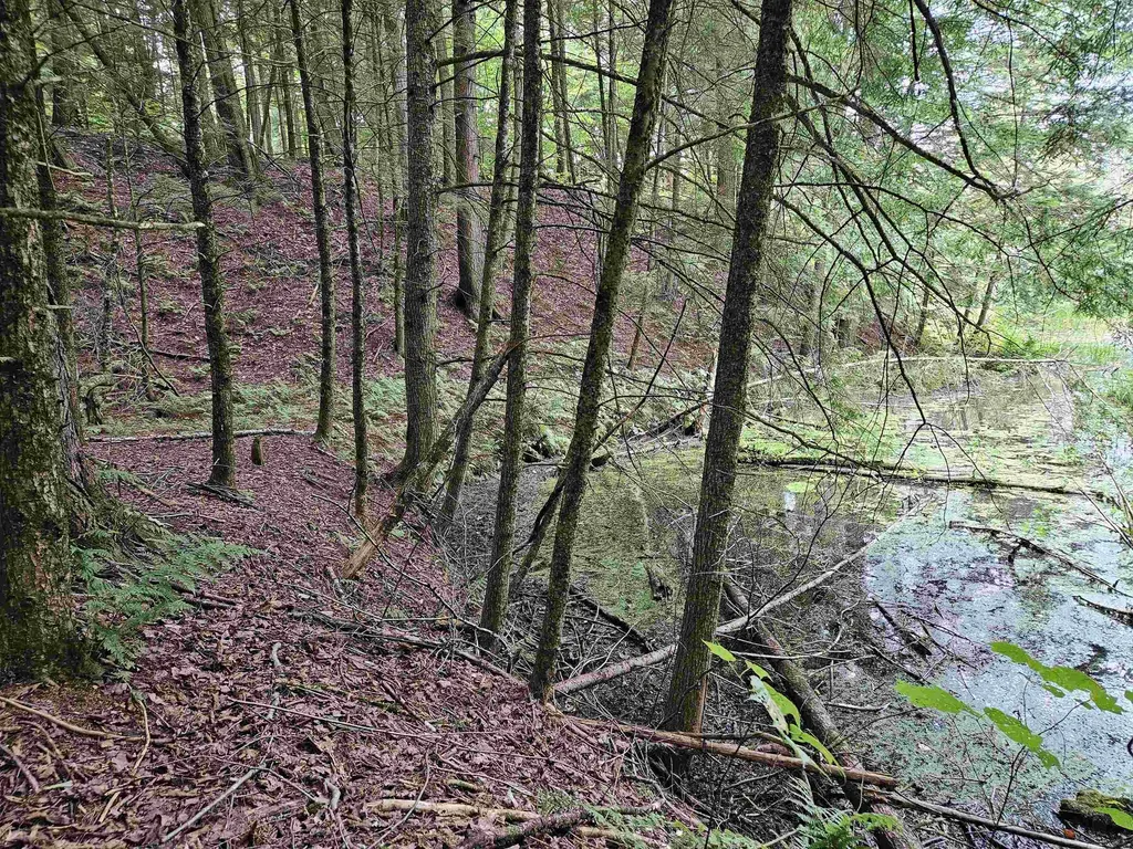 0 Highbridge Road Georgia VT 05454