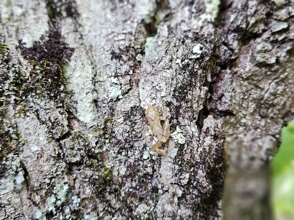 0 Highbridge Road Georgia VT 05454