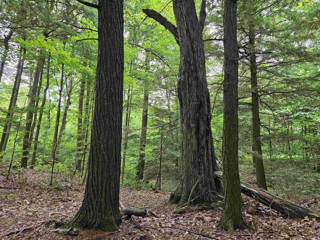 0 Highbridge Road Georgia VT 05454