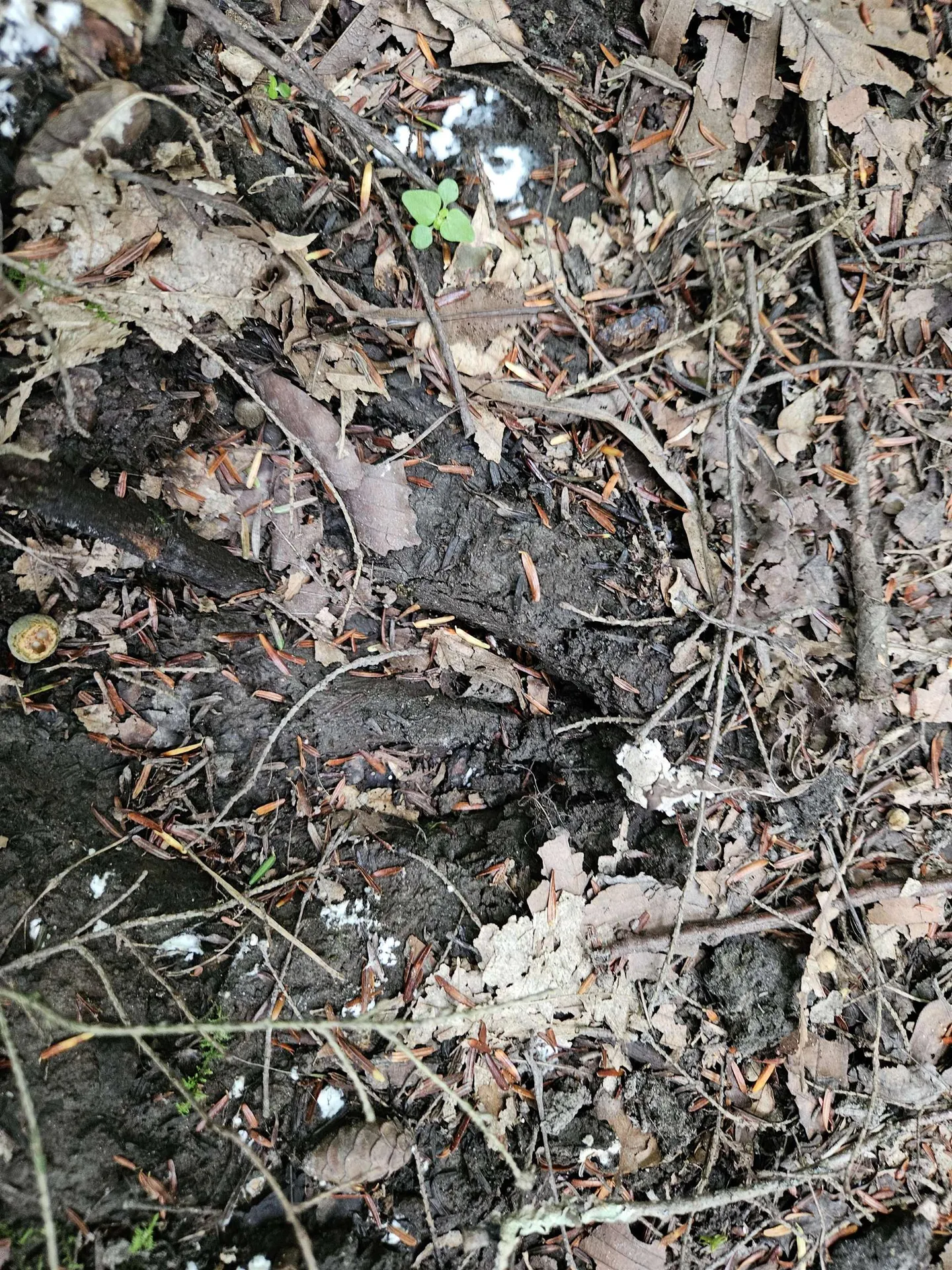 0 Highbridge Road Georgia VT 05454