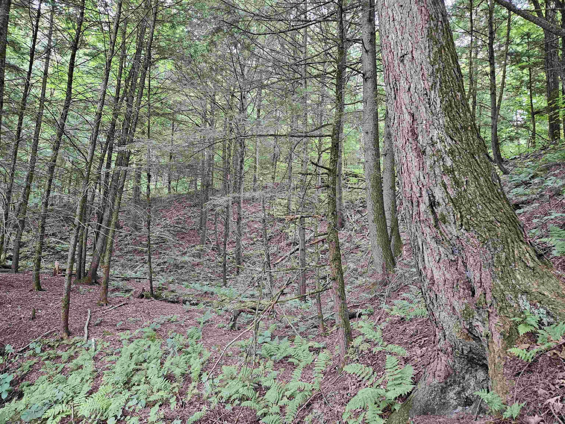 0 Highbridge Road Georgia VT 05454