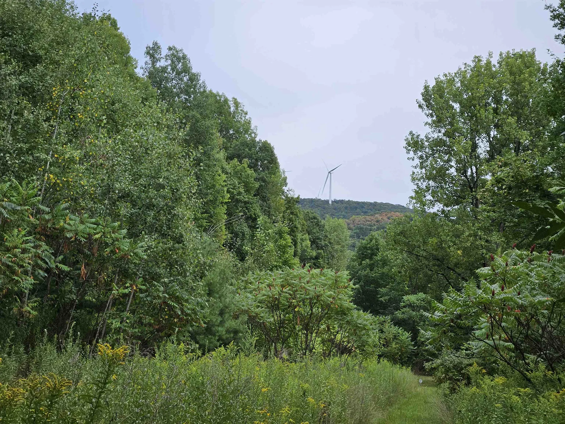 0 Highbridge Road Georgia VT 05454