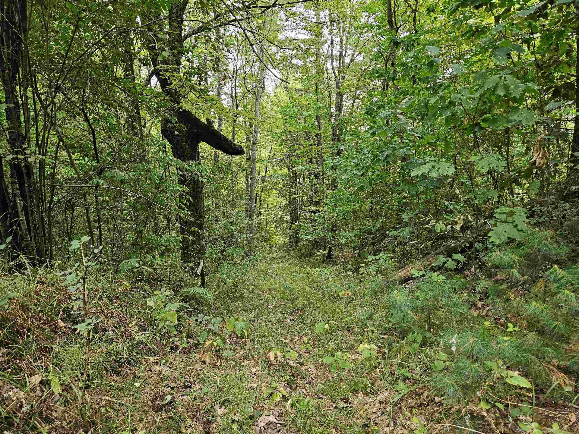 0 Highbridge Road Georgia VT 05454