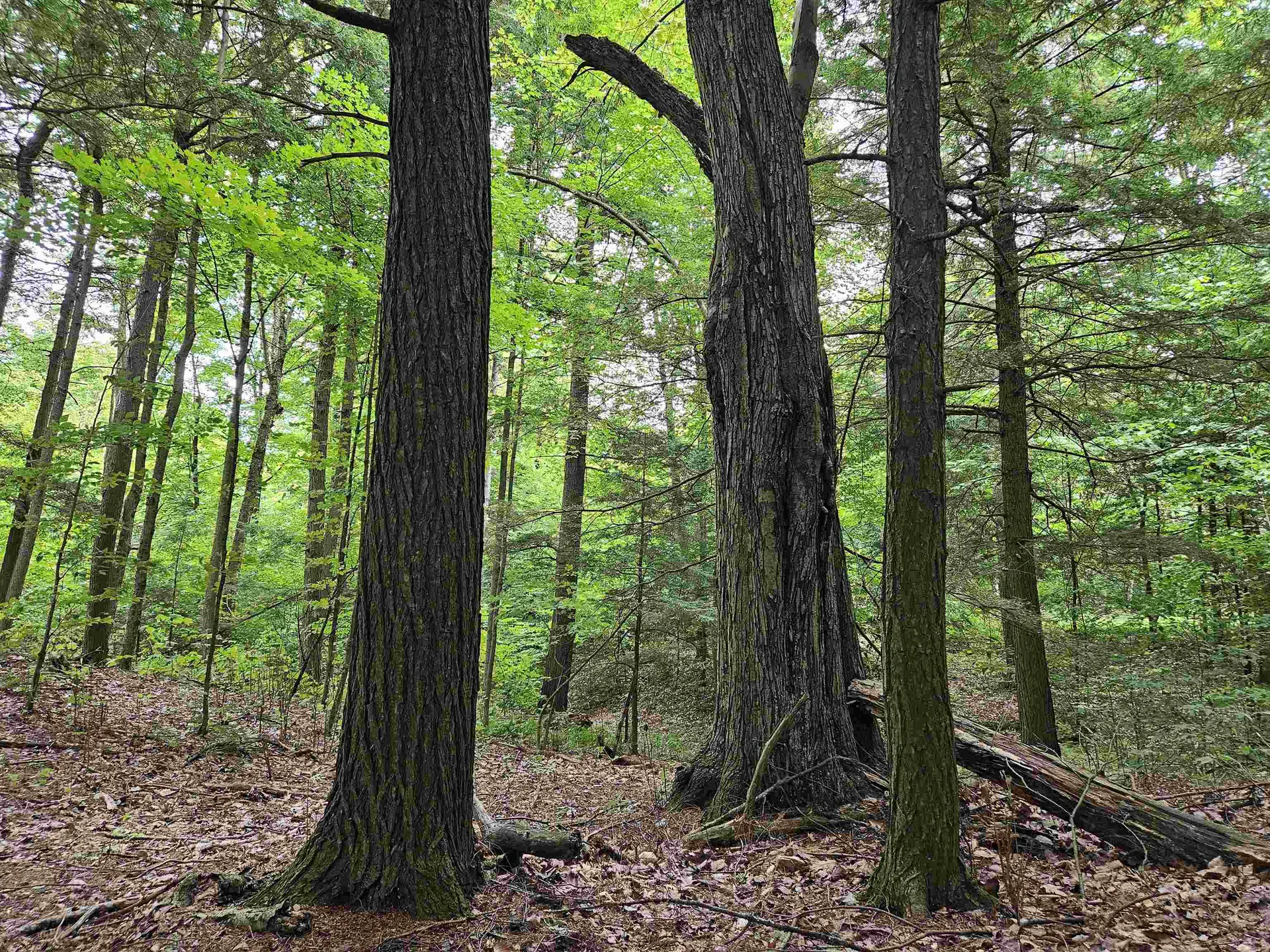 0 Highbridge Road Georgia VT 05454