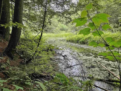 0 Highbridge Road Georgia VT 05454