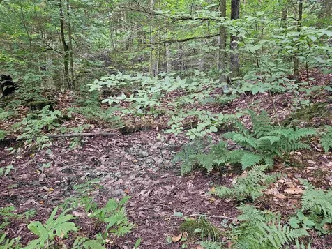 0 Highbridge Road Georgia VT 05454