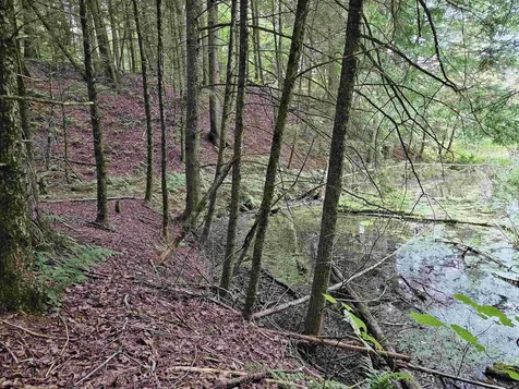 0 Highbridge Road Georgia VT 05454